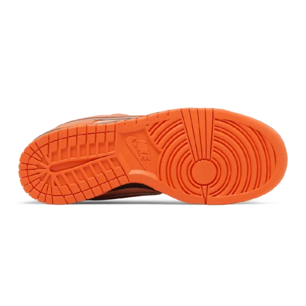 ⁦Nike SB Dunk Low x Concepts Orange Lobster⁩ – תמונה ⁦4⁩