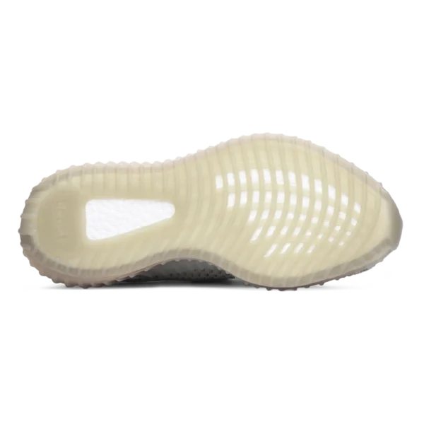 ⁦Adidas Yeezy Boost 350 V2 True Form⁩ – תמונה ⁦4⁩