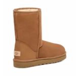 ⁦UGG Classic Short II Chestnut⁩ – תמונה ⁦3⁩