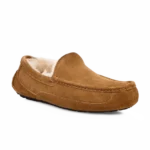 ⁦UGG Ascot Slippers Chestnut⁩ – תמונה ⁦2⁩
