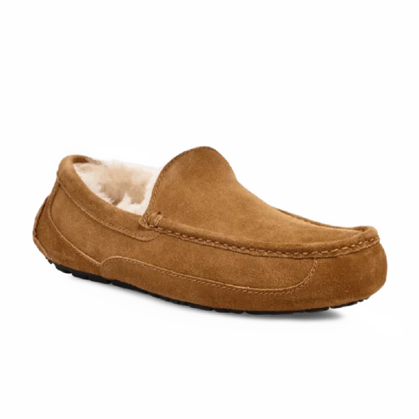⁦UGG Ascot Slippers Chestnut⁩ – תמונה ⁦2⁩