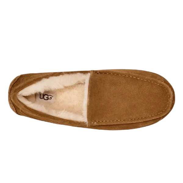 ⁦UGG Ascot Slippers Chestnut⁩ – תמונה ⁦4⁩