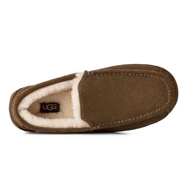 ⁦UGG Ascot Slippers Light Bronze⁩ – תמונה ⁦4⁩