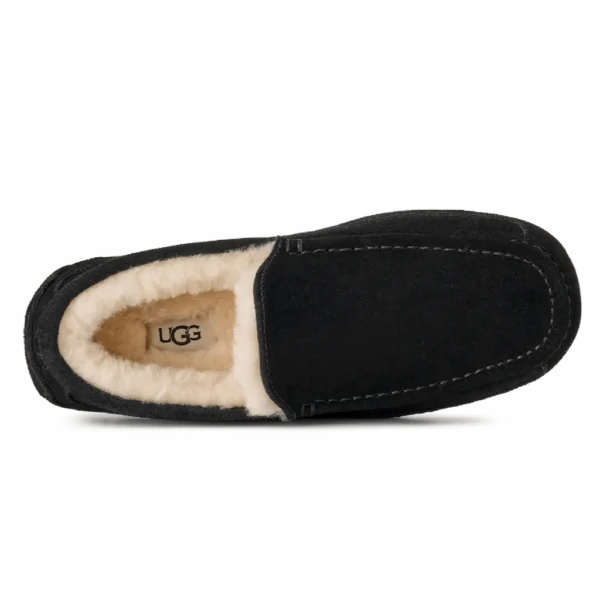 ⁦UGG Ascot Slippers Black⁩ – תמונה ⁦4⁩