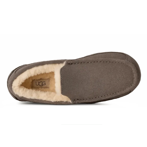 ⁦UGG Ascot Slippers Grey⁩ – תמונה ⁦4⁩